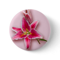 Pink Stargazer Lily and Bud