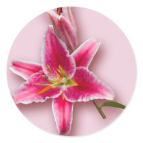 Pink Stargazer Lily and Bud Round Stickers
