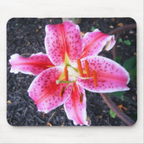Pink Stargazer Lily mousepads by princessklb07 Pink Stargazer Lily mousepads