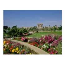 Pink State capitol, flower gardens, Phoenix, Arizo postcards