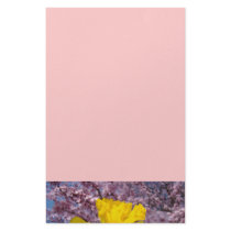Pink Stationery Tree Blossoms Spring Daffodils