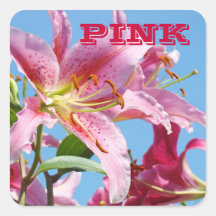 PINK stickers Pink Lily Flowers Pink Awareness