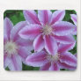Pink Striped Clematis IMG_0822 Mouse Pads