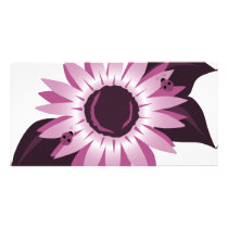 Pink Sunflower With Ladybugs photo cards by VoXeeD Pink Sunflower With Ladybugs photo cards