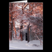 Pink Sunrise on the Snow Winter Photo cards