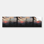Pink Sunset With Pine Tree And Clouds At Yosemite, Bumper Stickers