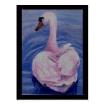 Pink Swan Postcard