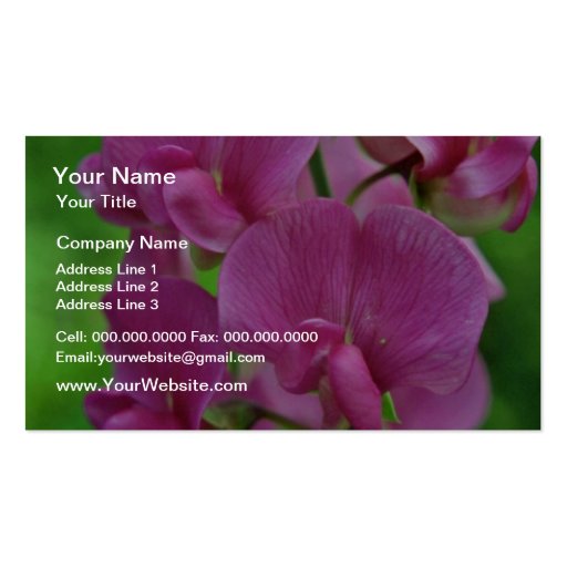 Pink Sweet Pea flowers Business Cards (front side)