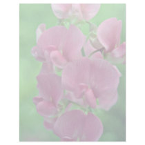 Pink Sweet Pea flowers Personalized Letterhead