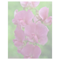 Pink Sweet Pea flowers Personalized Letterhead