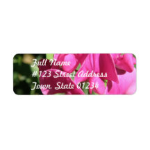 Pink Sweet Pea Mailing Label