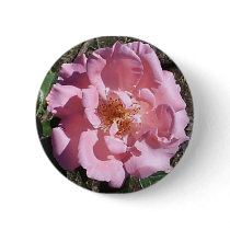 Pink Tea Rose Corsage Pin buttons