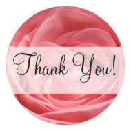 Pink Tea Rose with 