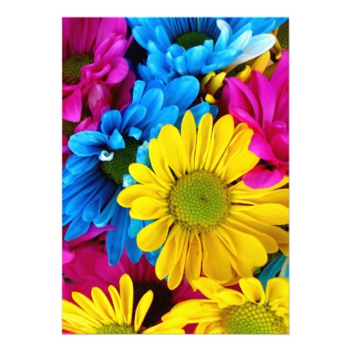 Pink Teal Gerber Daisy Flowers Wedding Invitations