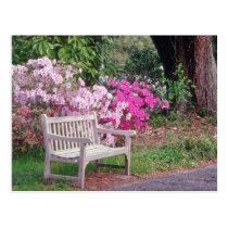 Pink The garden bench flowers postcards