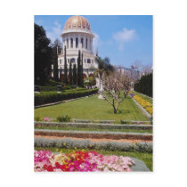 Pink The world center of the Bahai faith, Haifa, I Postcard