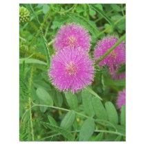 Pink Thistle Personalized Letterhead