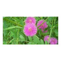 Pink Thistle Personalized Photo Card
