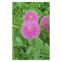 Pink Thistle Custom Stationery