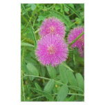 Pink Thistle Custom Stationery