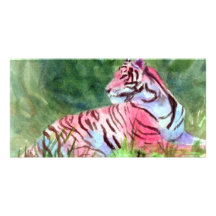 Pink Tiger aceo Photo Card