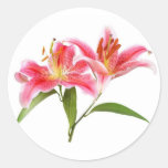 pink tiger lily - customizable stickers