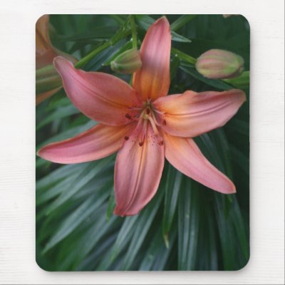 Tiger Lily Wedding Bouquet on Pink Tiger Lily Flower