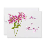 lily, tiger lily, lilies, tiger lilies, pink lily,