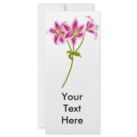 Pink Tiger Lily Rack Card