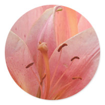Pink Tiger Lily stickers