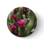 Pink Torch Cactus buttons