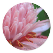 Pink Torch Ginger Wedding stickers by naturalilly Pink Torch Ginger Wedding stickers