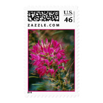 Pink Torch postage