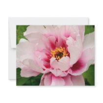 pink tree peony invitations by Ljrigg pink tree peony invitations
