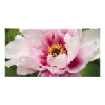 pink tree peony photo card template