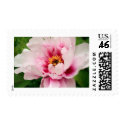 pink tree peony postage by Ljrigg pink tree peony postage