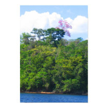 Pink Tree posters