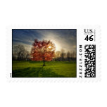 Pink Tree Stamp
