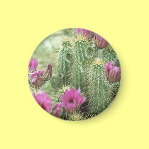 Pink Trill Bloom Cactus Refrigerator Magnet magnets