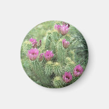 Pink Trill Desert Cactus Refrigerator Magnet