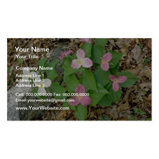 Pink Trilliums, Quebec, Canada. flowers Business Card (front side)