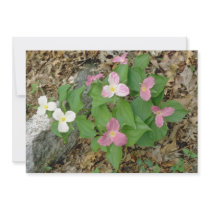 Pink Trilliums, Quebec, Canada. flowers Personalized Invites