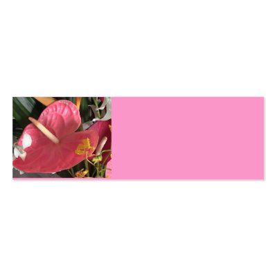 Pink Tropical Business Card by tiramisu2