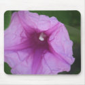 Pink tropical flower mousepads by gbmize Pink tropical flower mousepads