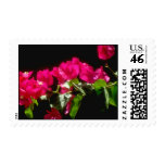 Pink Tropical flowers, Ocho Rios flowers Postage Stamps