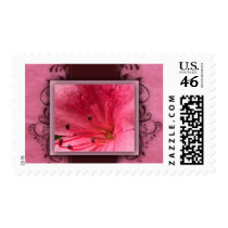 Pink tropical hibiscus flower postage