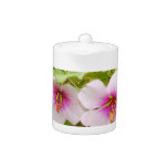 pink tropical Hibiscus Flowers