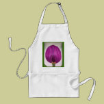 Pink Tulip aprons