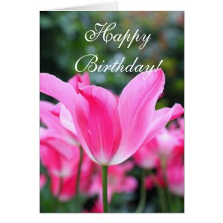 Pink tulip beauty card