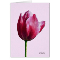 Pink Tulip cards